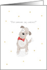 Christmas Cute Dog Curious About Cookies card