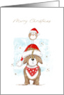 Cute Dog and Bird Christmas card