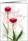 Two Red Tulips Birthday card