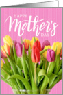 Colorful Tulips Mother’s Day card