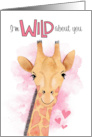 Cute Giraffe I’m Wild About You Valentine’s Day card