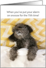Funny Dog Alarm Clock on Snooze Birthday card