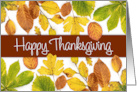 Autumn Leaves Photographic Thanksgiving card