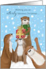 Funny Otters Christmas card