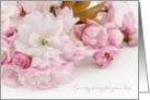 Pink Blossom So Very Sorry For Your Loss card