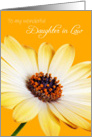 Daughter in Law Birthday Card - Sunny Flower against an Orange Background card