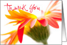 Thank You Card - Crazy Flower card