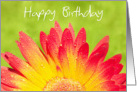 Birthday Card - Sunny and Bright Flower with Water Drops card