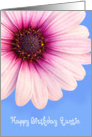 Auntie Birthday Card - Light Pink Flower against a Blue Background card