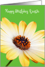 Auntie Birthday Card - Sunny Flower against a Green Background card