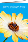 Aunt Birthday Card - Sunny Flower against a Blue Background card