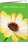 Aunt Birthday Card - Sunny Flower against a Green Background card