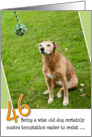 46th Birthday Card - Humorous Old Dog Resists Temptation card