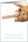 Sister Birthday Card - Humorous, Dog Sticking out Tongue card