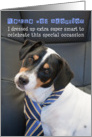 Rescue Dog Adoption Congratulations Card - Humorous, Dog Wearing Smart Tie card