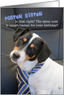Foster Sister Birthday Card - Dog Wearing Smart Tie - Humorous card