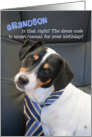 Grandson Birthday Card - Dog Wearing Smart Tie - Humorous card