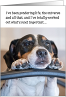 Birthday Card - Humorous Dog Pondering Life card