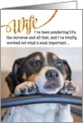 Wife Funny Birthday Card - Dog Pondering Life and The Universe card