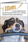 Mom Funny Birthday Card - Dog Pondering Life and The Universe card