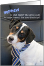 Nephew Birthday Card - Dog Wearing Smart Tie - Humorous card