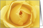 Birthday Card - Yellow Roase card