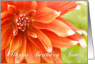 Aunt Birthday Card - Beautiful Dahlia Flower card
