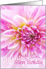 Grandniece Birthday Card - Exciting Party Time Floral card