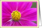 Blank Greeting Card - Bright Pink Flower card