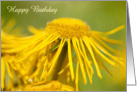 Birthday Card - Yellow Flowing Floral card