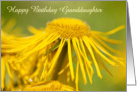 Granddaughter Birthday Card - Yellow Flowing Floral card