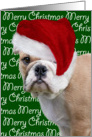 Christmas Card - English Bulldog Puppy in Santa Hat card