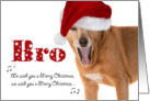 Merry Christmas Bro - Singing Dog in Santa Hat - Humorous card