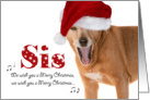 Merry Christmas Sis - Singing Dog in Santa Hat - Humorous card