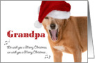 Merry Christmas Grandpa - Singing Dog in Santa Hat - Humorous card