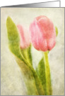 Blank Greeting Card - Artistic Tulip card