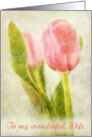 Wife Birthday Card - Romantic Tulip card