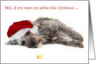 Humorous Christmas Card - Sound Advice from a Pup card