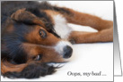I’m Sorry ,Cute Dog Card