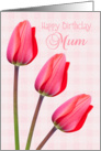 Mum Birthday Card - Red Tulip Trio card
