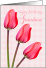 Grandma Birthday Card - Red Tulip Trio card