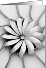 Blank Greeting Card - Artistic Spoons I card