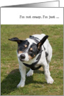 Humorous Birthday Card - Funny Dog card