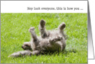 Humorous Birthday Card - ROFL Pup card