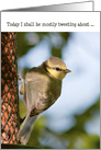 Humorous Birthday Card - Fledgling Blue Tit Tweeting card