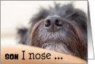 Son Humorous Birthday Card - The Dog Nose card