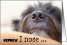 Nephew Humorous Birthday Card - The Dog Nose card