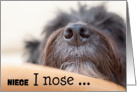 Niece Humorous Birthday Card - The Dog Nose card