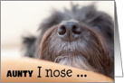 Aunty Humorous Birthday Card - The Dog Nose card