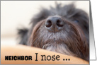 Neighbor Humorous Birthday Card - The Dog Nose card